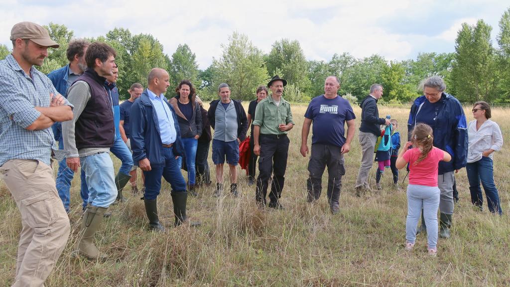 Regeneratív legeltetési bemutató Nagygyimóton