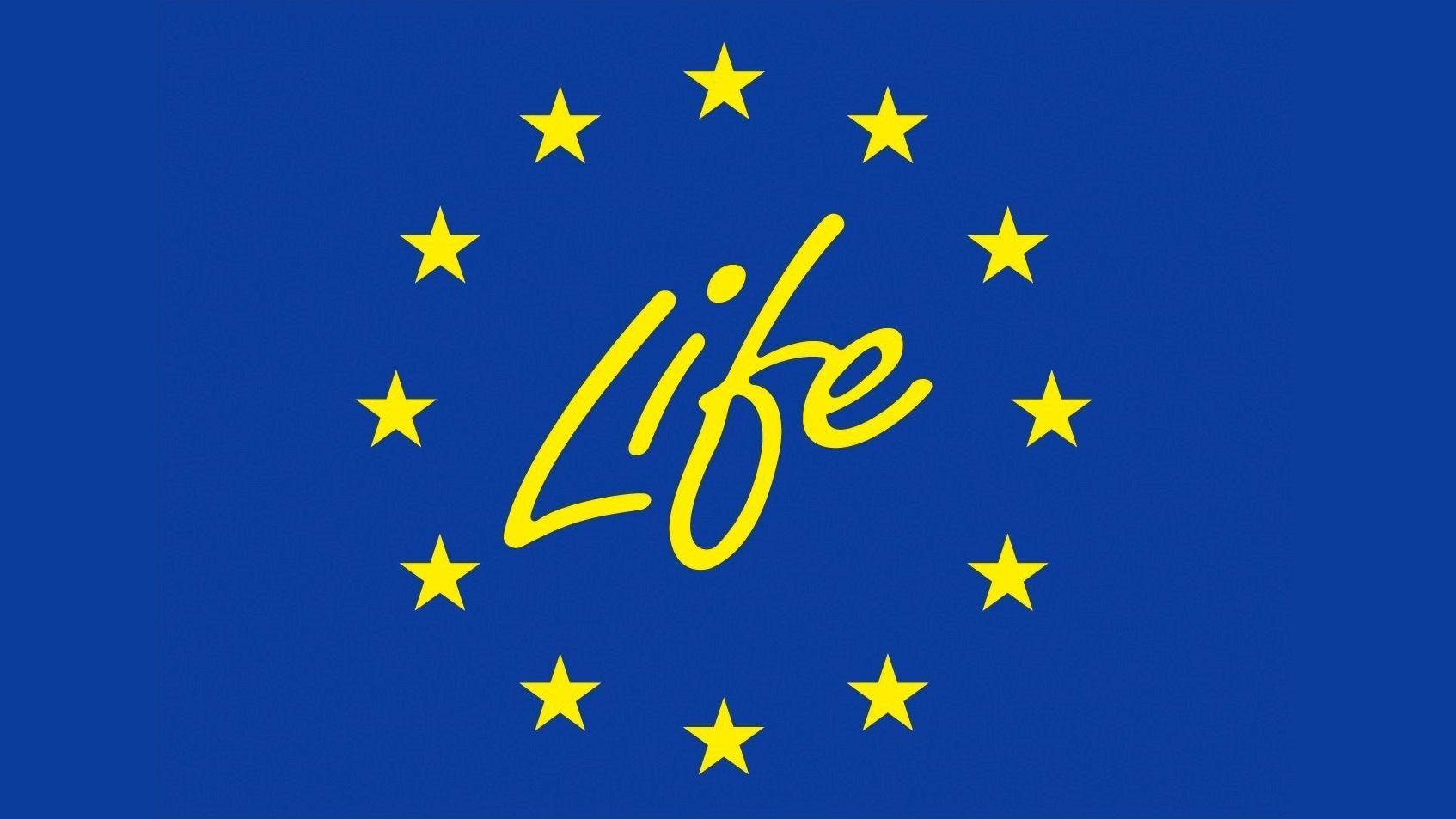 Life logo