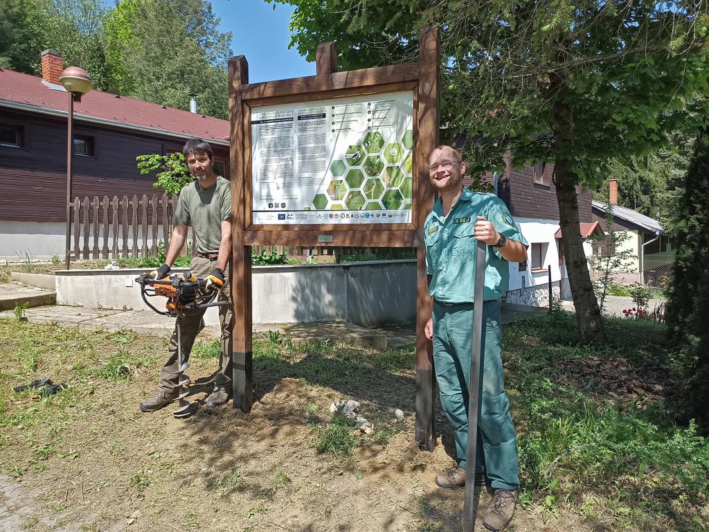 BfNPI - projekttábla állítása