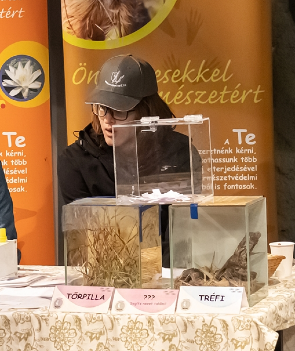 A látogatók javasolhattak nevet a Vadonlesők törpeegerének